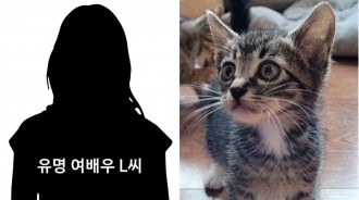 韓國有名感性女演員L某涉嫌遺棄寵物貓，“謊言調包，虛假事實”