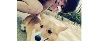 【投票結果】粉絲最希望當EXO伯賢的愛犬一天