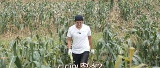 《三時三餐》玉澤演為朴信惠冒雨摘玉米