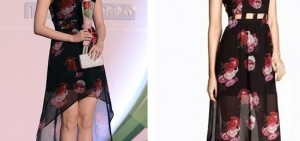 IU穿平價禮服出席活動　品牌與姜素拉禮服相同