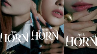 Apink決定2月14日發行特別專輯《HORN》，預告照也公開